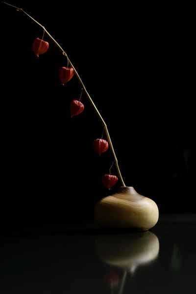 Daniele Romano Fotografo