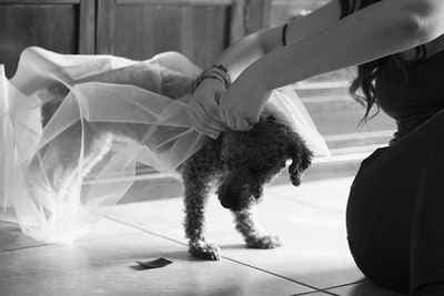 ROSARIO SPADARO FOTOGRAFO