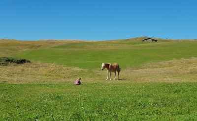 Marco Bonatta - Fotografo