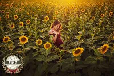 Stefania Parolin - Fotografa Padova di Gravidanza Bambini Famiglie Newborn Servizi Fotografici - NEGOZIO