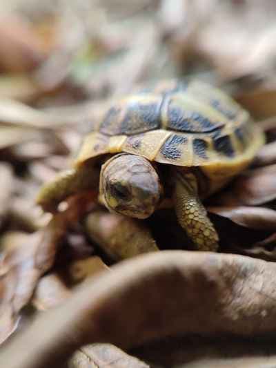 Maior Scuola di fotografia