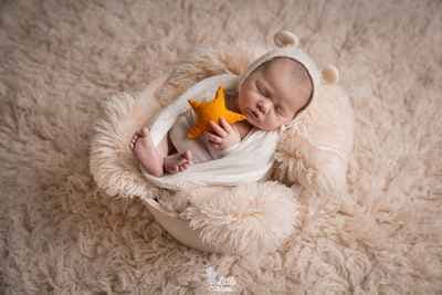 Little Stories by Zitoli