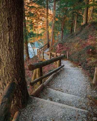 Maurizio Fioretti Photo