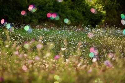 Francesca Pilato fotografia