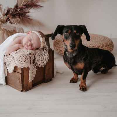 Lullaby Moments