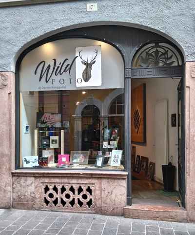 Wild Foto